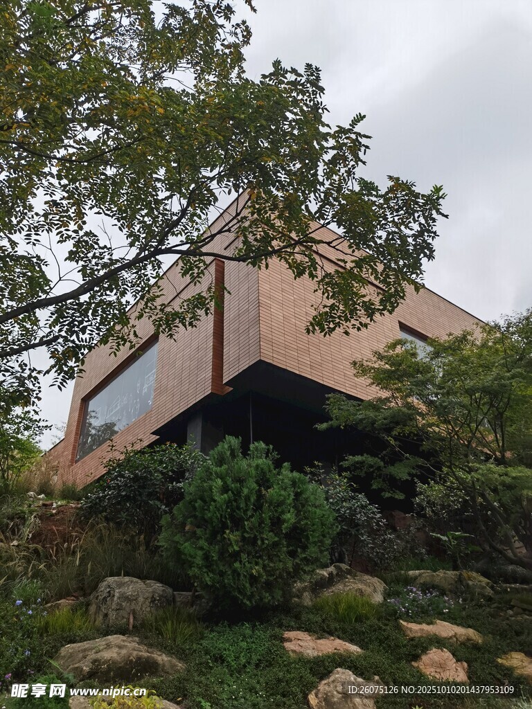 山林中的现代风格建筑