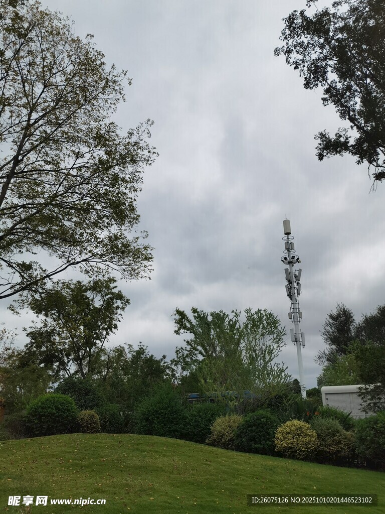 户外绿意盎然的自然景致