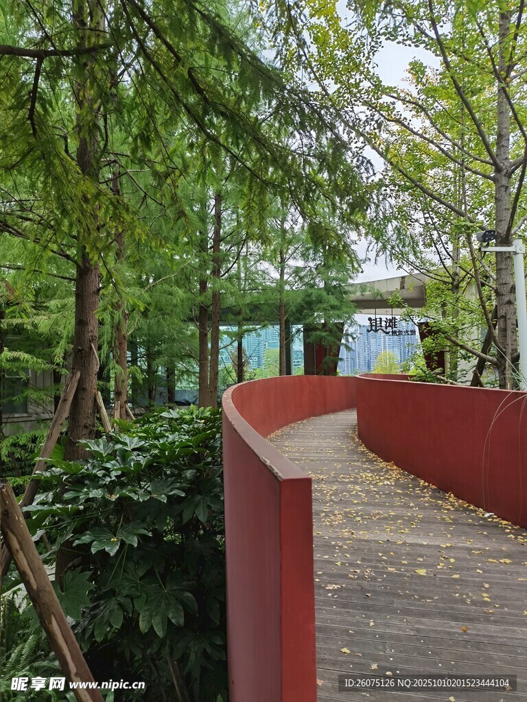 林间红径自然静谧之景