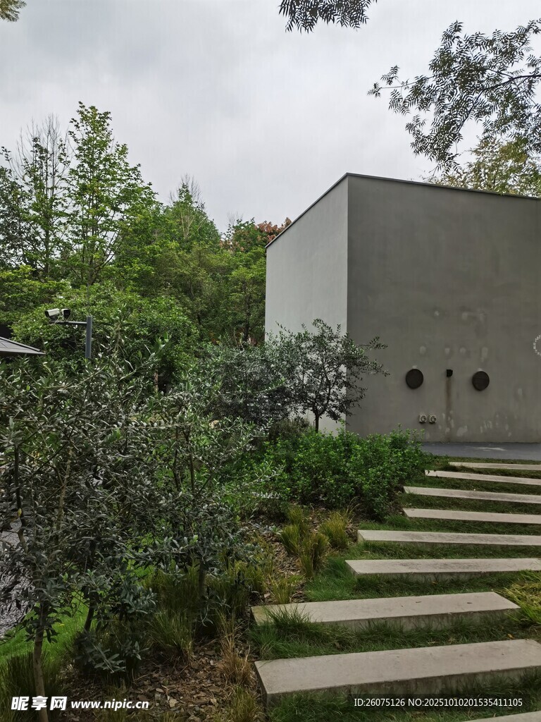 山林中的现代建筑与石阶