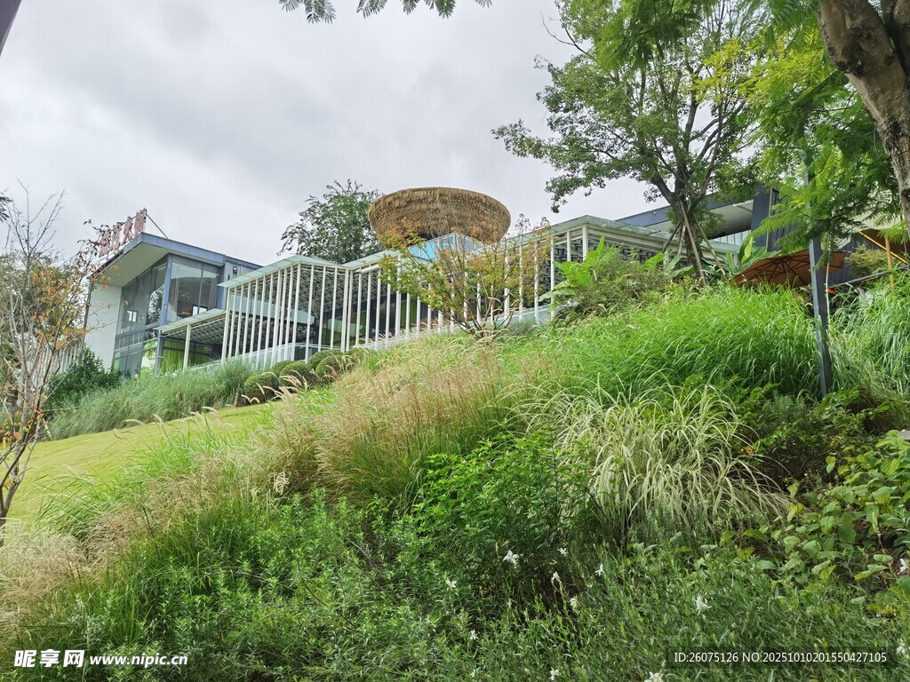 山间小屋绿意环绕的景致