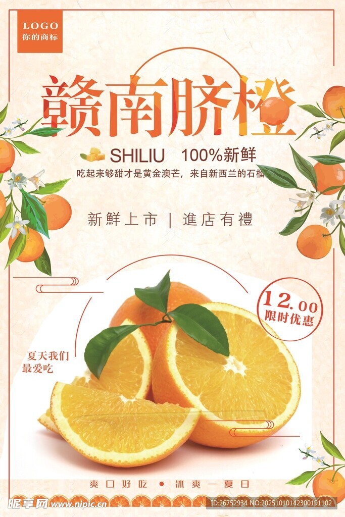 赣南脐橙海报
