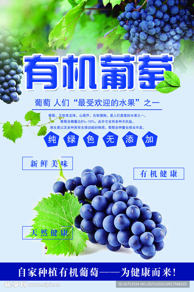 有机葡萄宣传海报