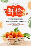 鲜橙满满  开启美味新体验