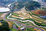 乡村公路