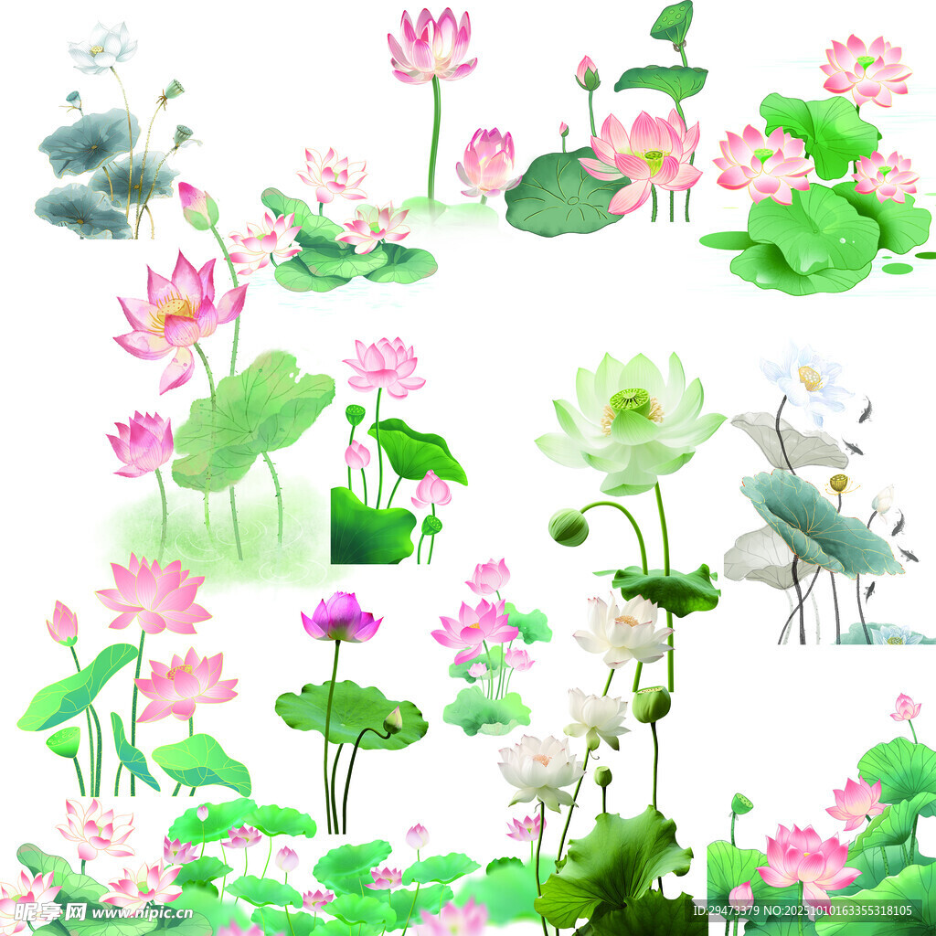 水墨荷花图