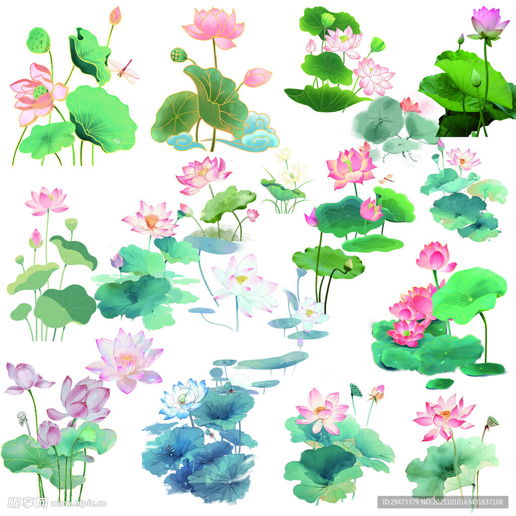 水墨风荷花荷叶插画素材