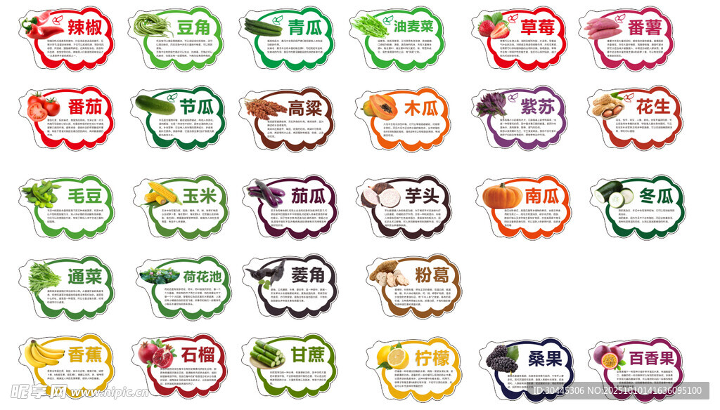 菜园 造型 园主图片