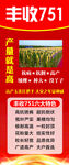 丰收751玉米种子宣传海报