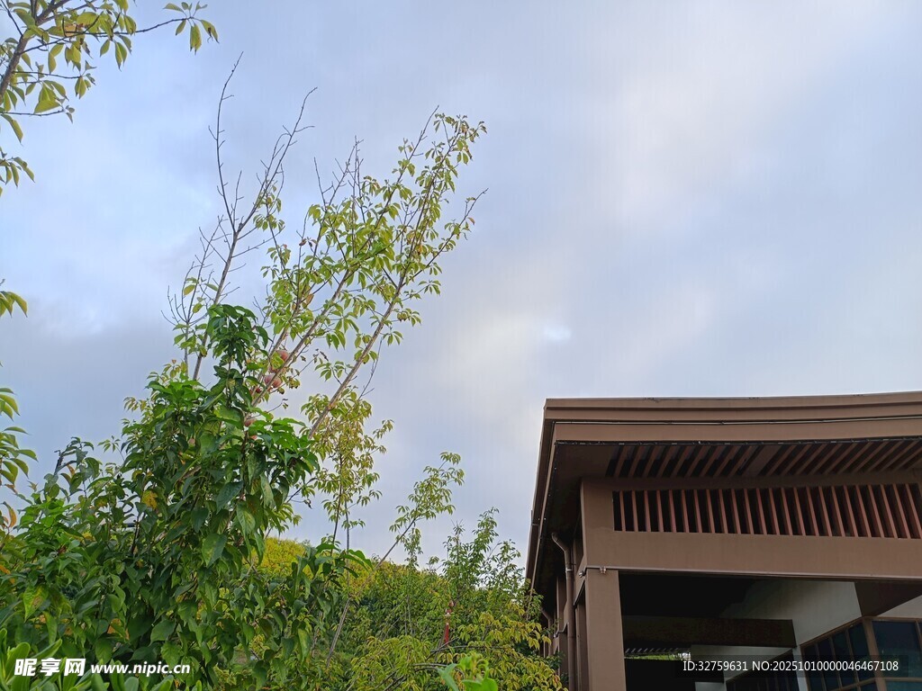 户外绿植旁的木质建筑一角