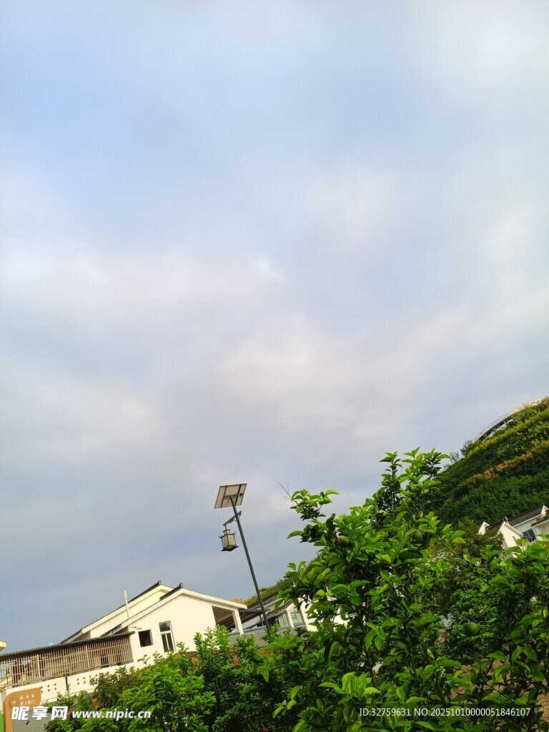 天空下的绿植与建筑