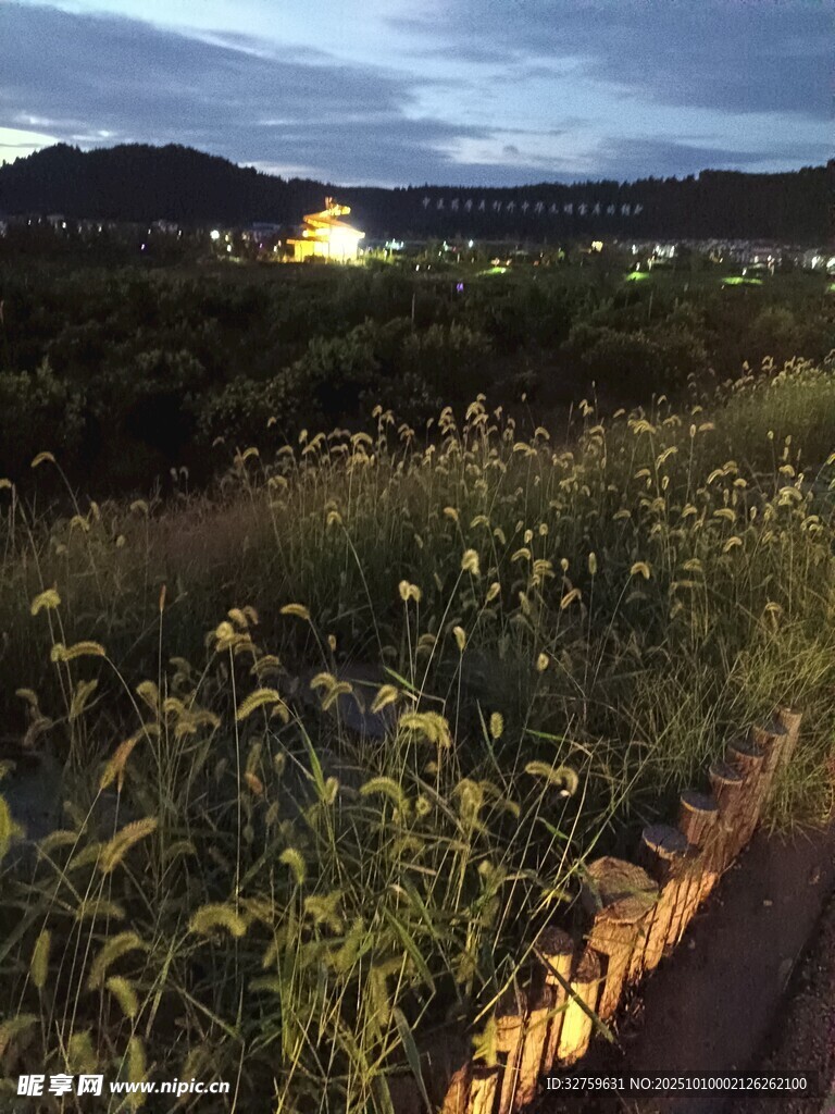 夜幕下的田园风光