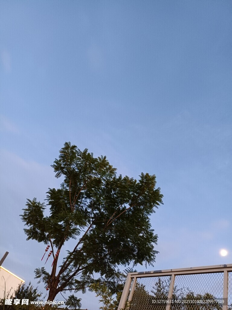 蓝天绿树旁的建筑景观