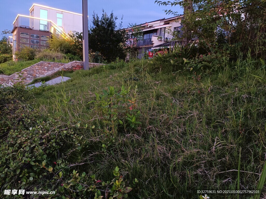 草地旁的建筑景观