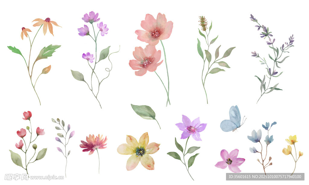 手绘多彩花卉插画 