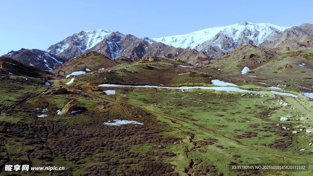 雪山下的翠绿山野