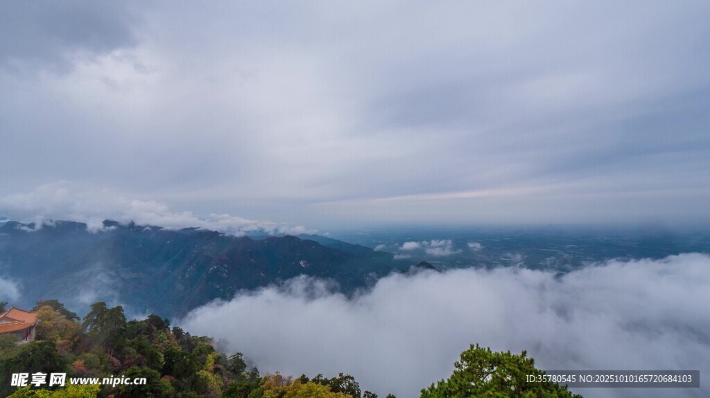 山巅云海壮丽景观