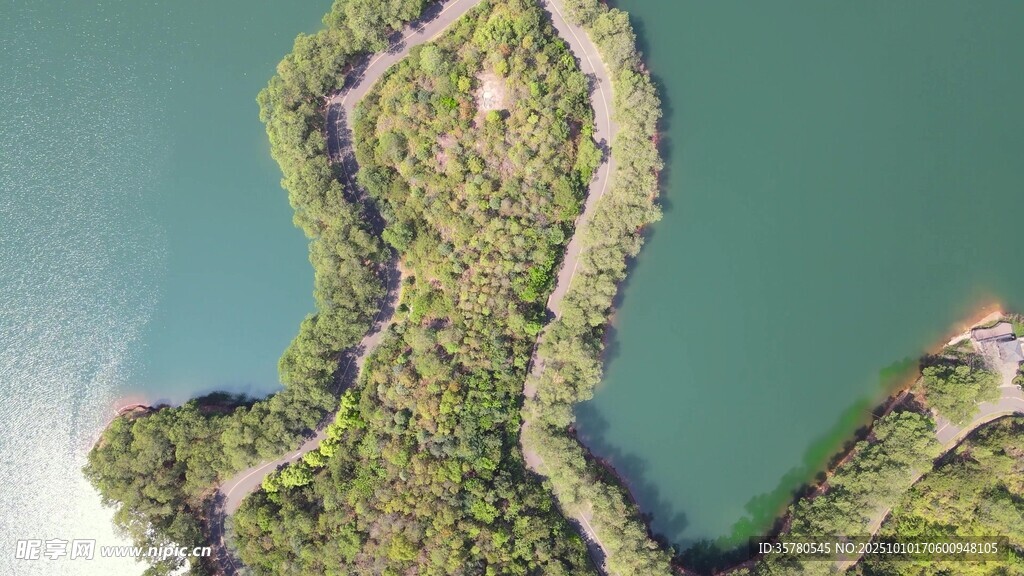 空中俯瞰绿意盎然的岛屿