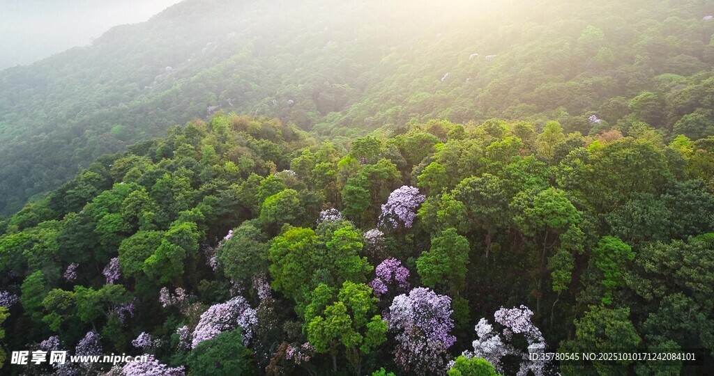 自然风景自愈系视频素材