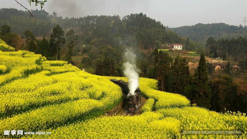 山间油菜田中的袅袅炊烟