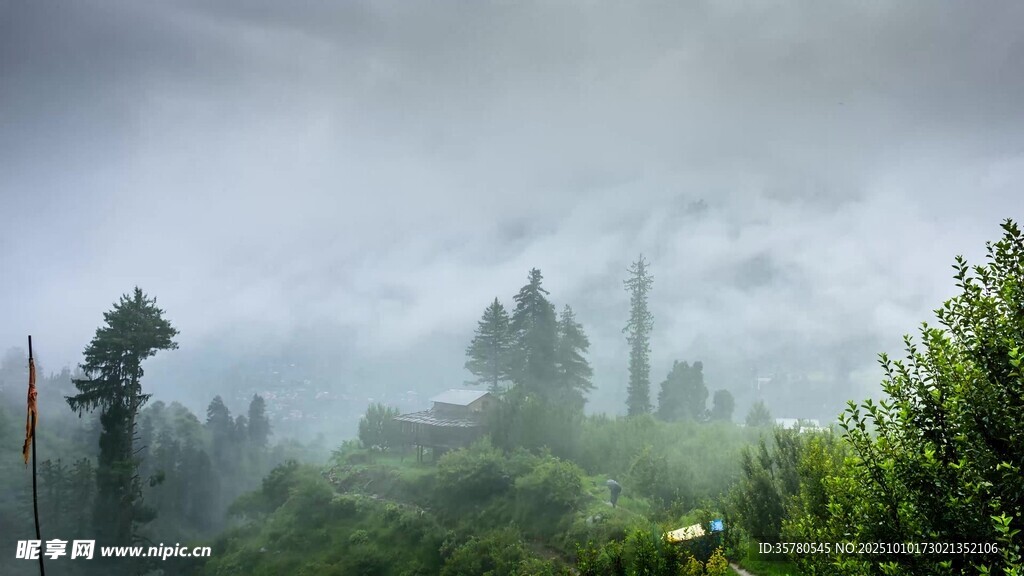 雾中葱郁山林景观