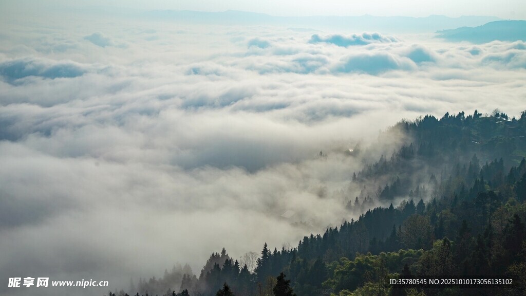云海之上的山林美景