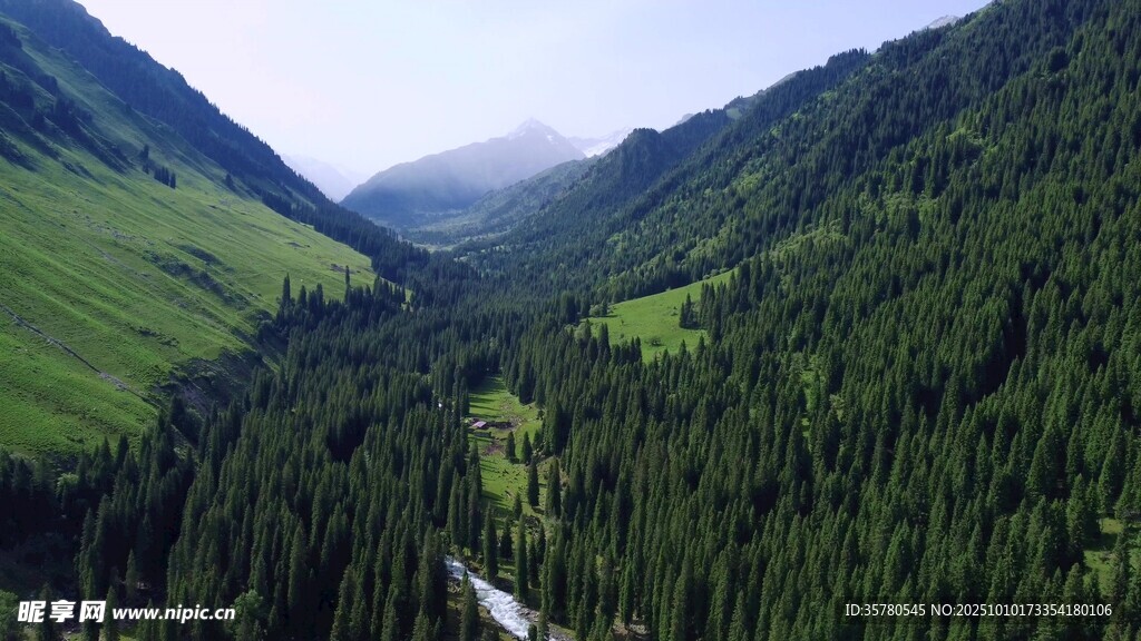 自然风景自愈系视频素材