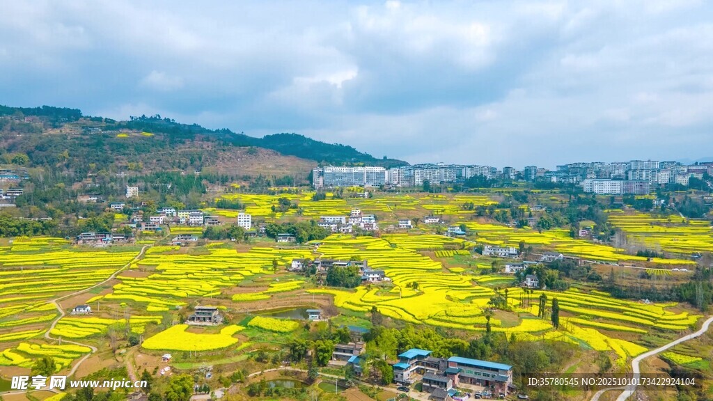 自然风景自愈系视频素材