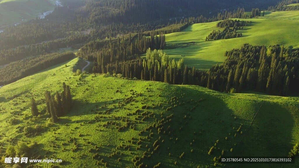 空中俯瞰翠绿山林美景