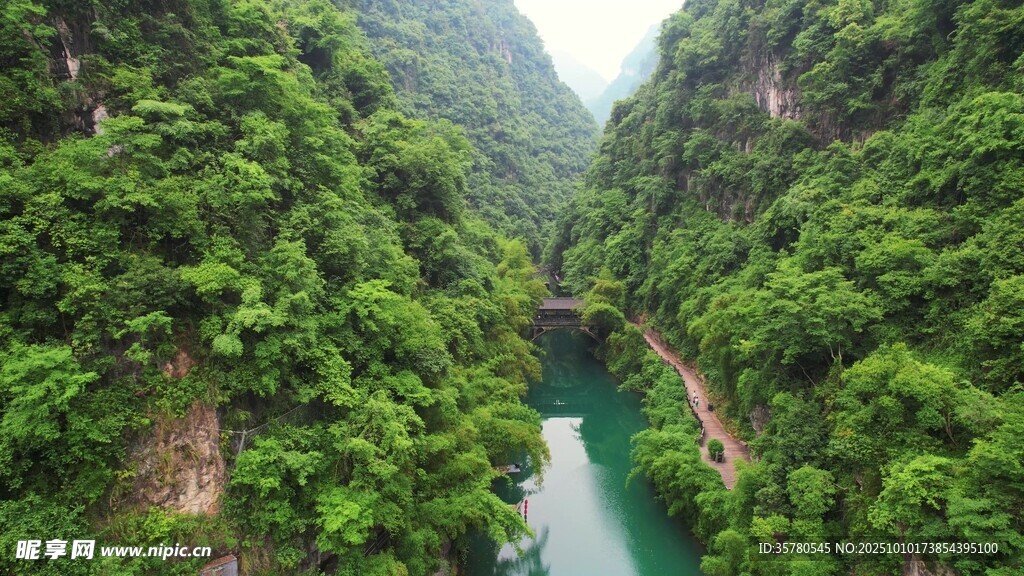 峡谷绿水间的盎然绿意