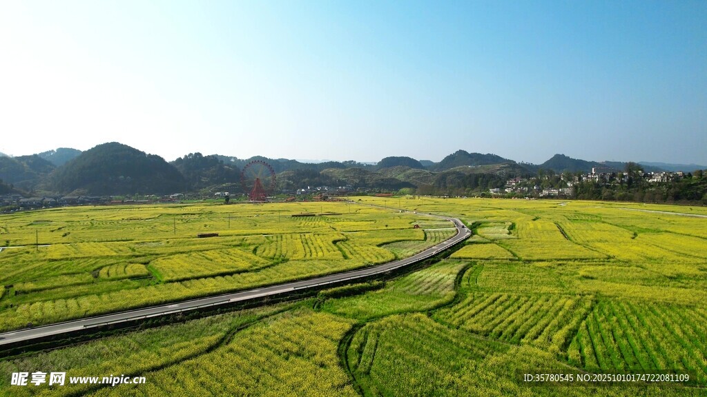 田园风光中的蜿蜒道路