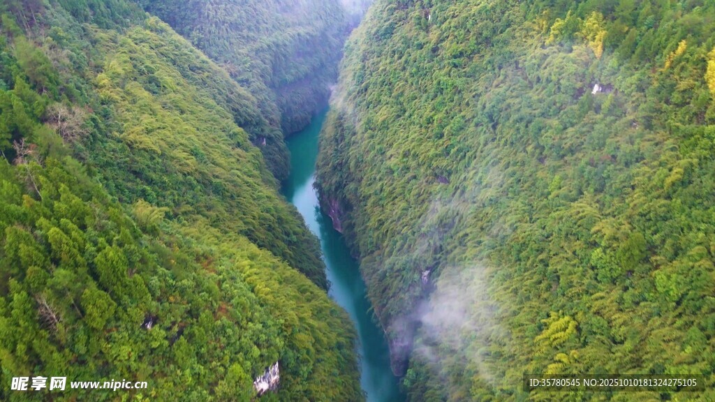 自然风景自愈系视频素材
