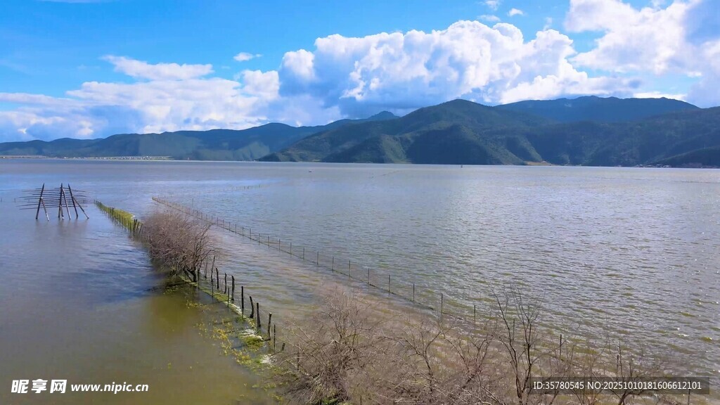 自然风景自愈系视频素材