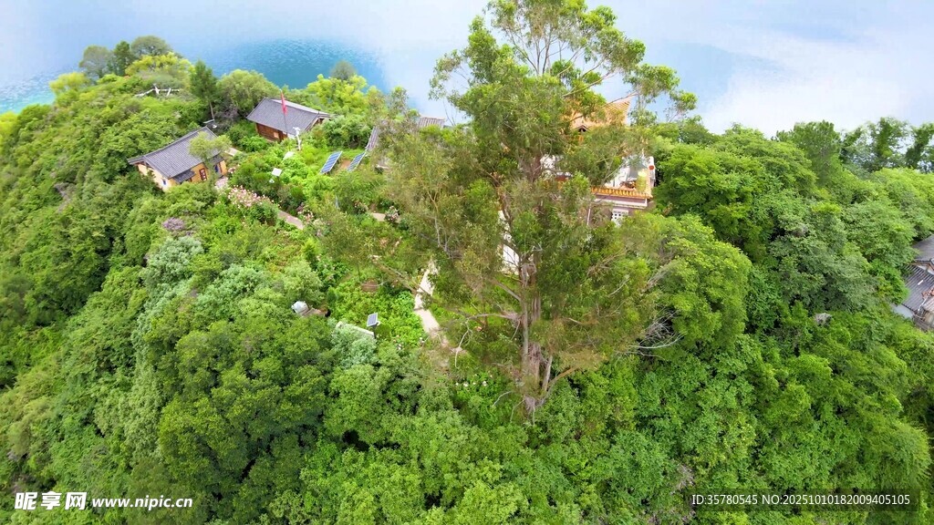 俯瞰葱郁山林中的建筑