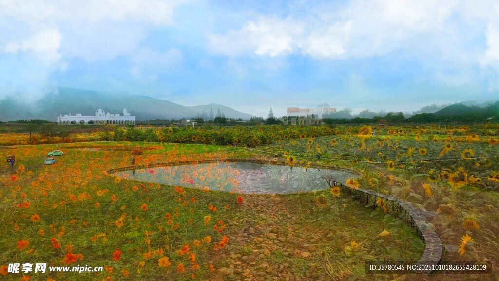 田野中的多彩湿地景观