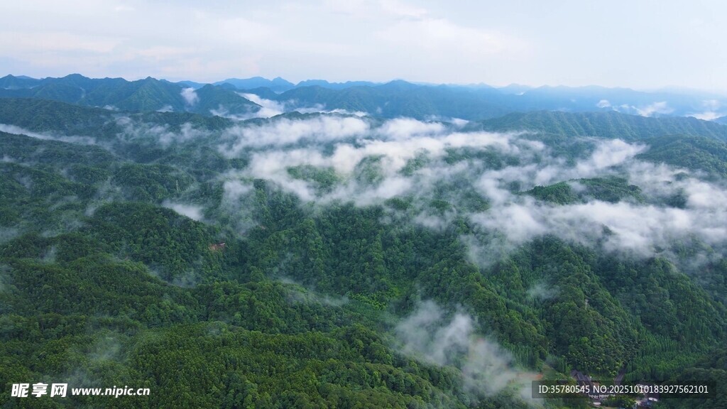 山间云雾缭绕的翠绿景致