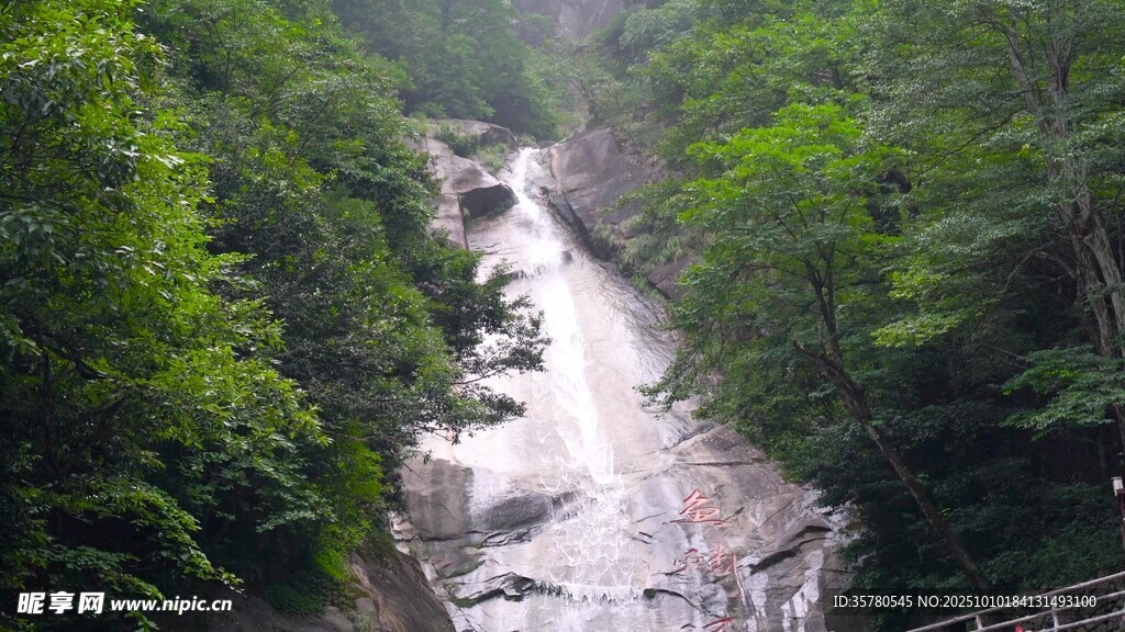 山间湍急溪流穿林而过