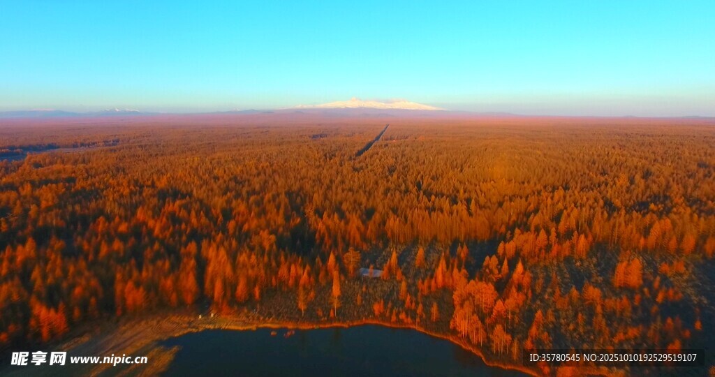 秋日森林航拍美景