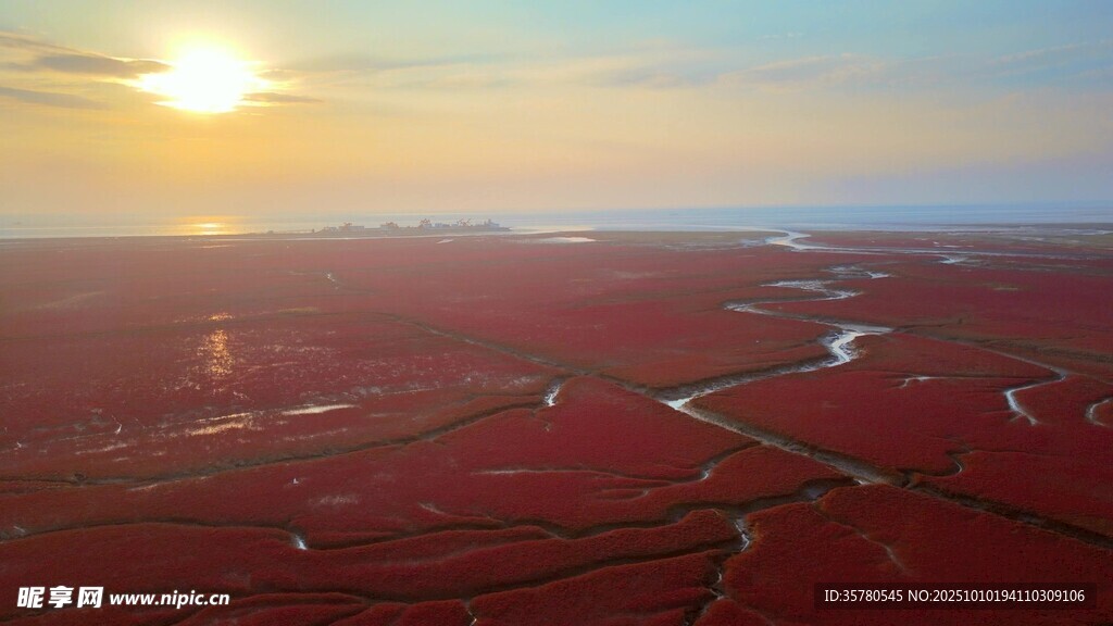 夕阳下的红色湿地景观