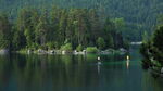 宁静湖畔森林美景
