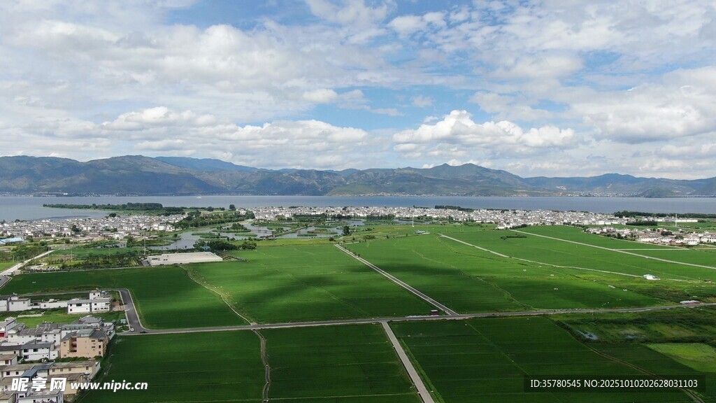 广袤绿野与远山蓝天美景