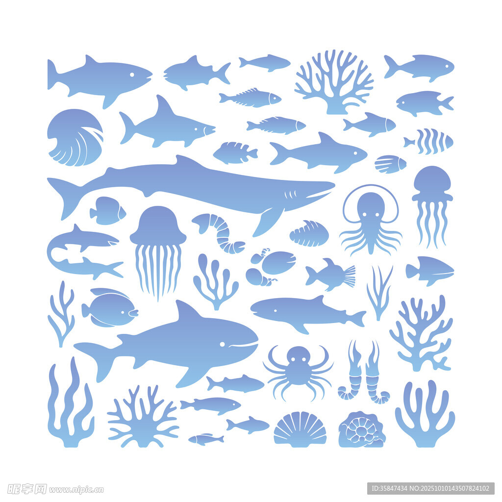 海洋生物图案 