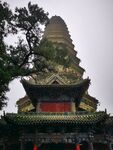 广胜寺飞虹塔