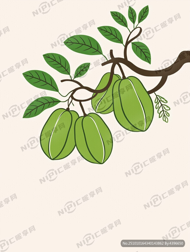 一棵杨桃树 果实垂挂在右侧