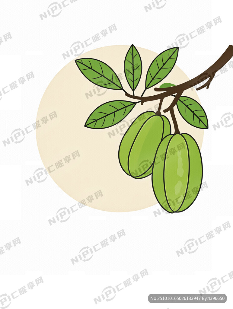 一棵杨桃树 果实垂挂在右侧