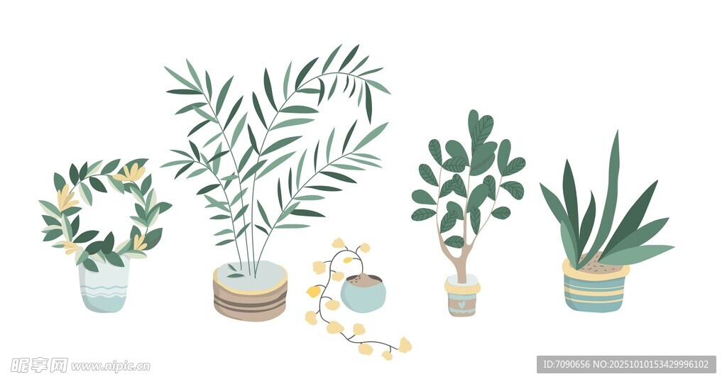 清新绿植盆栽 
