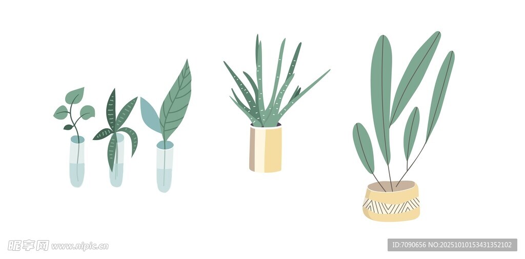 简约风格盆栽植物插画