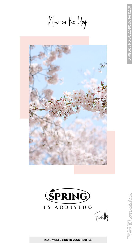 春日樱花海报设计