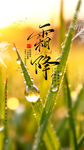 霜降海报