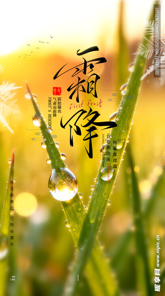 霜降海报